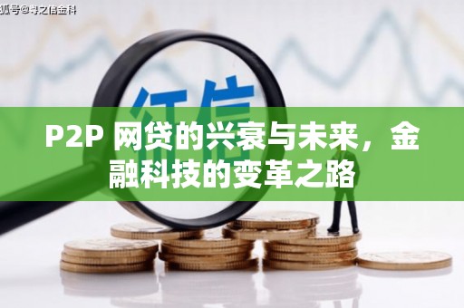 尼玛P2P 网贷的兴衰与未来，金融科技的变革之路