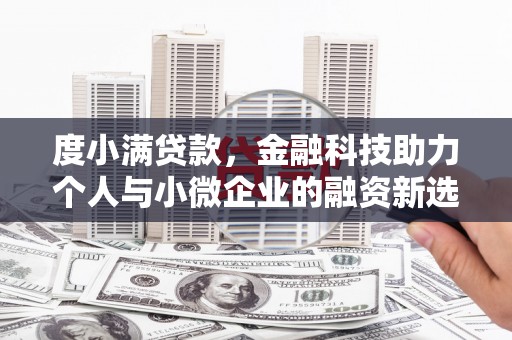 尼玛度小满贷款，金融科技助力个人与小微企业的融资新选择