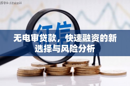 尼玛无电审贷款，快速融资的新选择与风险分析