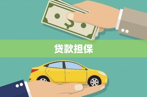 尼玛贷款担保