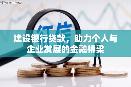 尼玛建设银行贷款，助力个人与企业发展的金融桥梁