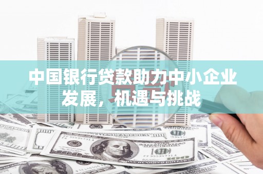 尼玛中国银行贷款助力中小企业发展，机遇与挑战