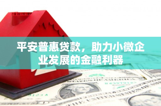 尼玛平安普惠贷款，助力小微企业发展的金融利器