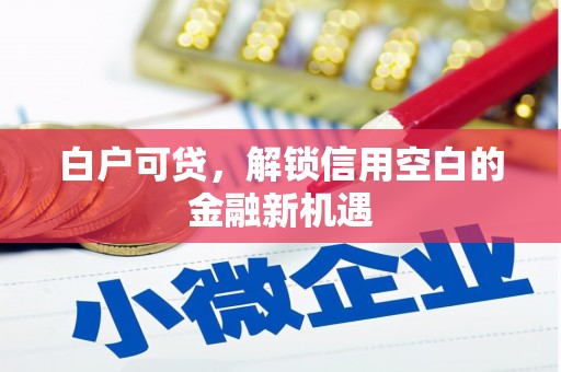 尼玛白户可贷，解锁信用空白的金融新机遇