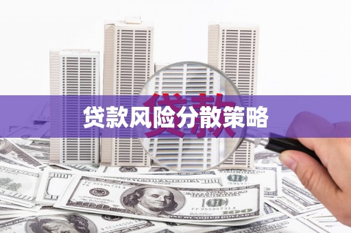 尼玛贷款风险分散策略