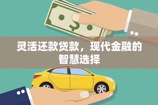 尼玛灵活还款贷款，现代金融的智慧选择