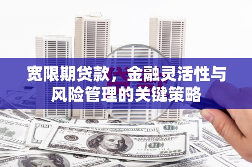 尼玛宽限期贷款，金融灵活性与风险管理的关键策略