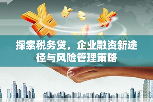 尼玛探索税务贷，企业融资新途径与风险管理策略