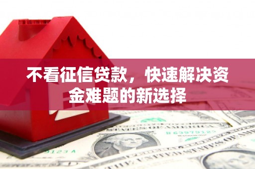 尼玛不看征信贷款，快速解决资金难题的新选择