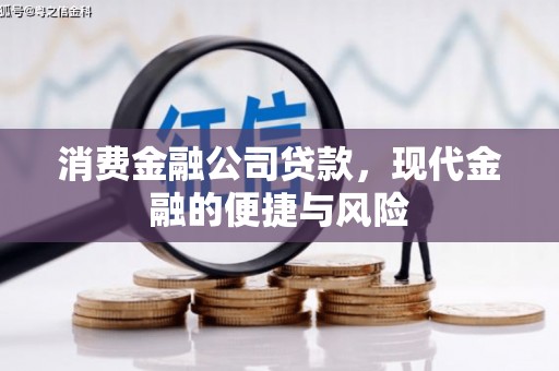 尼玛消费金融公司贷款，现代金融的便捷与风险