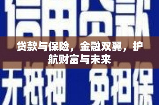 尼玛贷款与保险，金融双翼，护航财富与未来