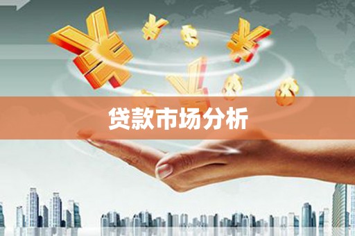 尼玛贷款市场分析