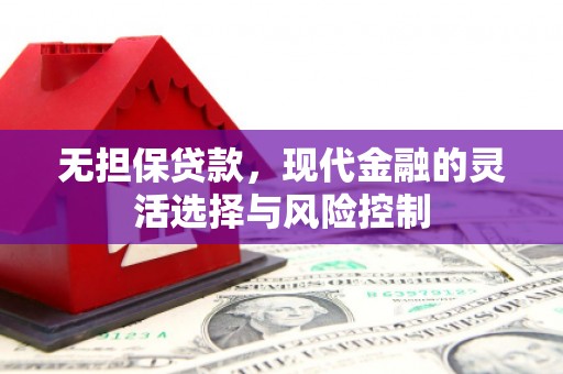 尼玛无担保贷款，现代金融的灵活选择与风险控制