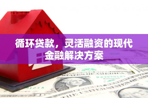 尼玛循环贷款，灵活融资的现代金融解决方案