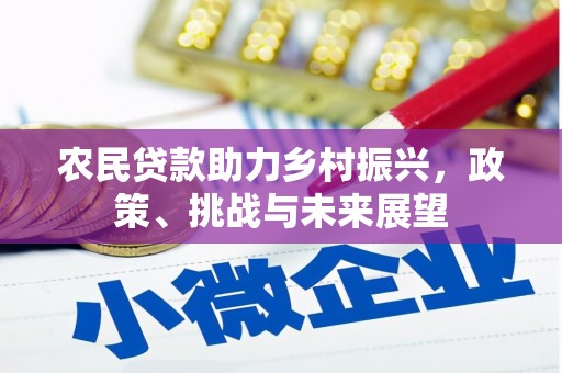 尼玛农民贷款助力乡村振兴，政策、挑战与未来展望