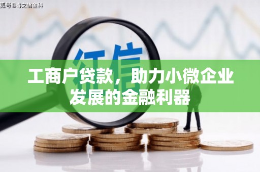 尼玛工商户贷款，助力小微企业发展的金融利器