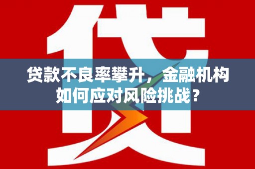 尼玛贷款不良率攀升，金融机构如何应对风险挑战？