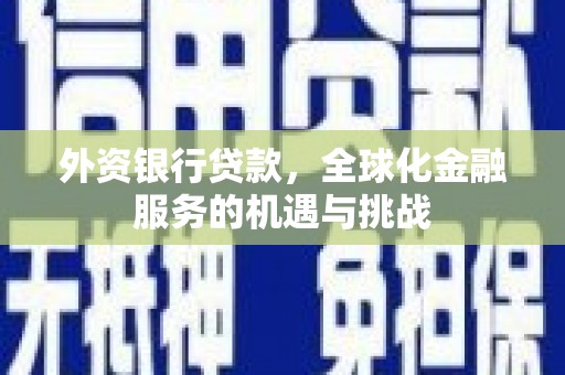 尼玛外资银行贷款，全球化金融服务的机遇与挑战