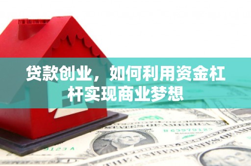 尼玛贷款创业，如何利用资金杠杆实现商业梦想