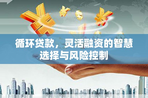 尼玛循环贷款，灵活融资的智慧选择与风险控制