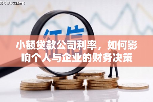 尼玛小额贷款公司利率，如何影响个人与企业的财务决策