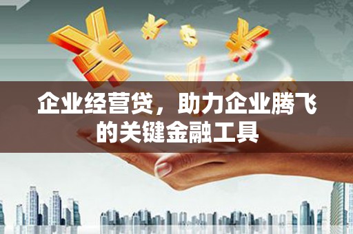 尼玛企业经营贷，助力企业腾飞的关键金融工具