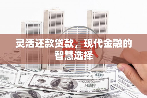 尼玛灵活还款贷款，现代金融的智慧选择