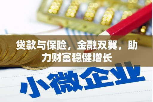 尼玛贷款与保险，金融双翼，助力财富稳健增长