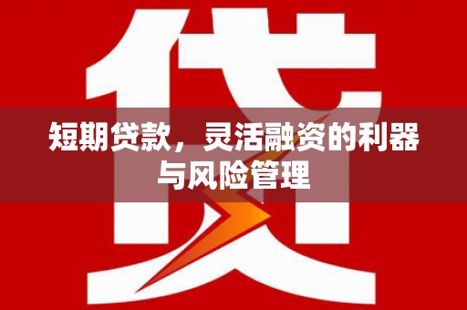 尼玛短期贷款，灵活融资的利器与风险管理