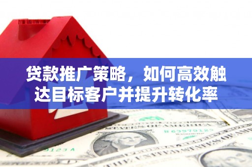 尼玛贷款推广策略，如何高效触达目标客户并提升转化率