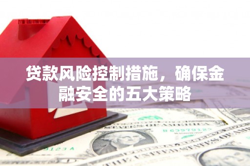 尼玛贷款风险控制措施，确保金融安全的五大策略