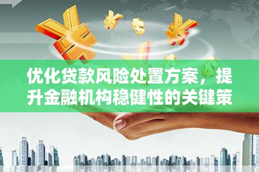 尼玛优化贷款风险处置方案，提升金融机构稳健性的关键策略