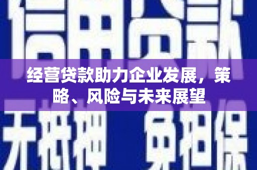 尼玛经营贷款助力企业发展，策略、风险与未来展望