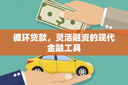 尼玛循环贷款，灵活融资的现代金融工具