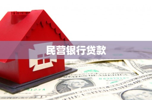 尼玛民营银行贷款