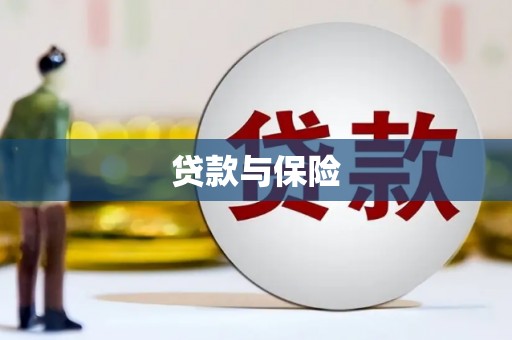 尼玛贷款与保险