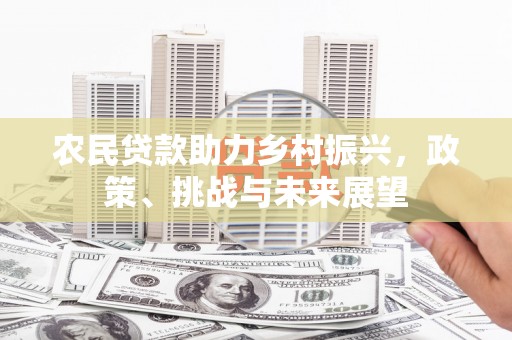 尼玛农民贷款助力乡村振兴，政策、挑战与未来展望