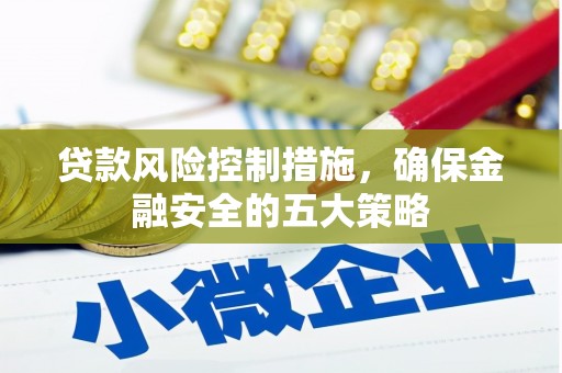 尼玛贷款风险控制措施，确保金融安全的五大策略