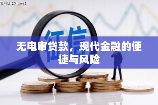 尼玛无电审贷款，现代金融的便捷与风险