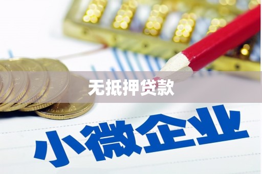 尼玛无抵押贷款