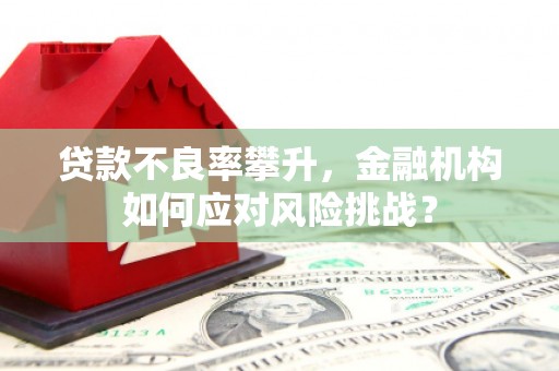 尼玛贷款不良率攀升，金融机构如何应对风险挑战？