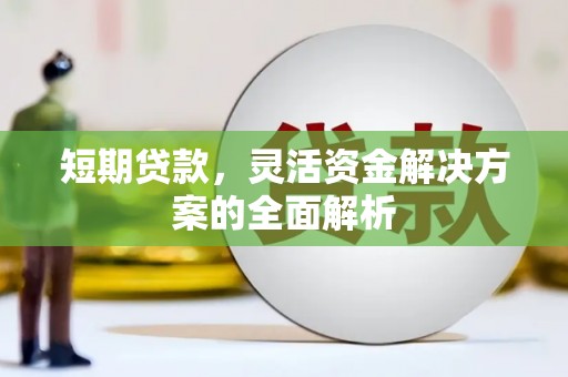 尼玛短期贷款，灵活资金解决方案的全面解析