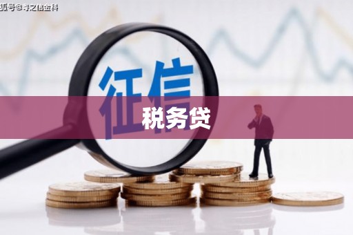 尼玛税务贷