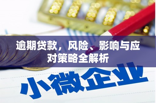 尼玛逾期贷款，风险、影响与应对策略全解析
