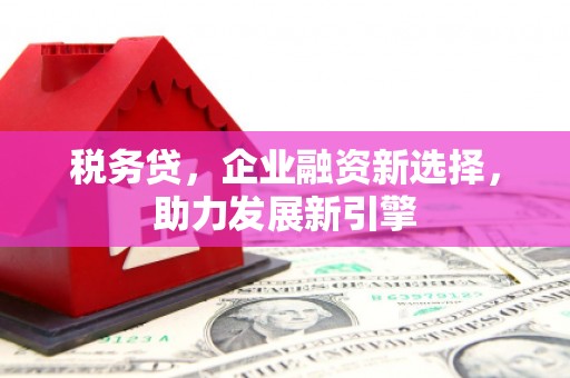 尼玛税务贷，企业融资新选择，助力发展新引擎