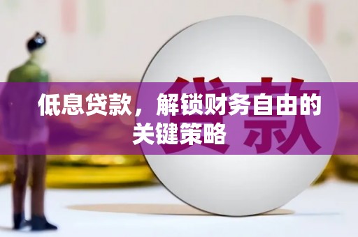 尼玛低息贷款，解锁财务自由的关键策略