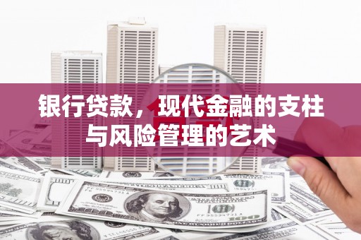 尼玛银行贷款，现代金融的支柱与风险管理的艺术