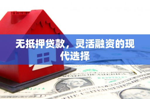 尼玛无抵押贷款，灵活融资的现代选择