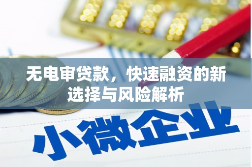 尼玛无电审贷款，快速融资的新选择与风险解析