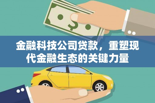 尼玛金融科技公司贷款，重塑现代金融生态的关键力量